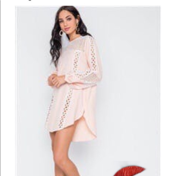 🎉HOSTpick🎉🖤Revolve Nude/Pink Crochet Dress /Trim Tuni…. ON HOLD - Picture 2 of 3